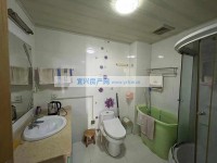其它圖