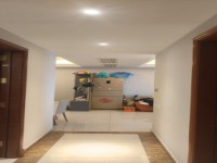 其它圖