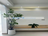其它圖